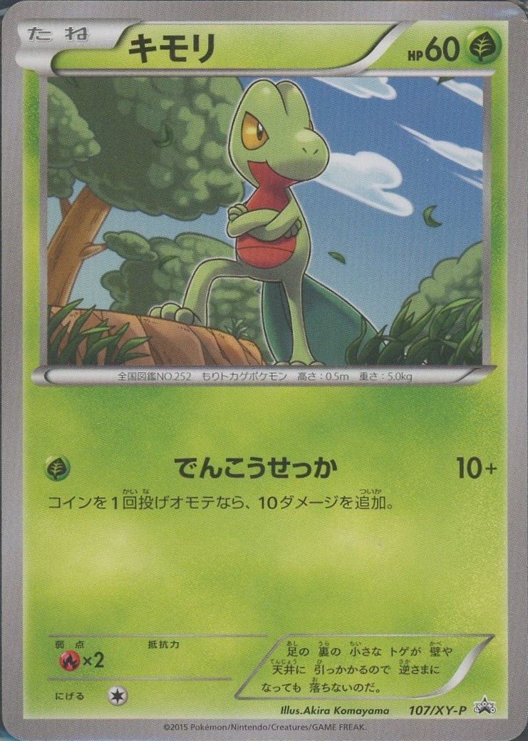 キモリ(PROMO){草}〈107/XY-P〉[XY-P] ｜ポケカ販売‧買取｜ 晴れる屋2