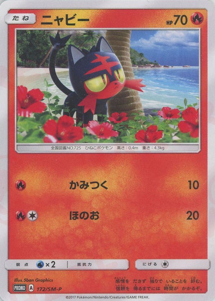 【PSA10】ニャビー PROMO SM-Pプロモカード 172/SM-P ニャビー(PROMO){炎}〈172/SM-P〉[SM-P] ｜販売‧買取｜ 晴れる屋2