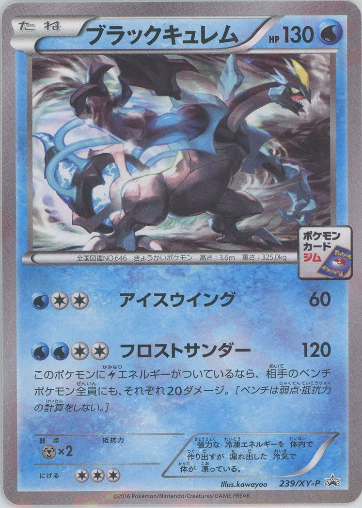 ブラックキュレム(PROMO){水}〈239/XY-P〉[XY-P] ｜ポケカ販売‧買取｜ 晴れる屋2