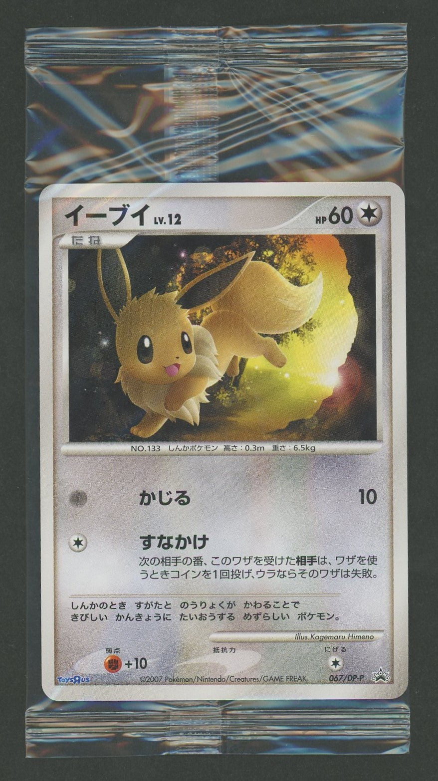 【未開封プロモ】 イーブイ 067/DP-P