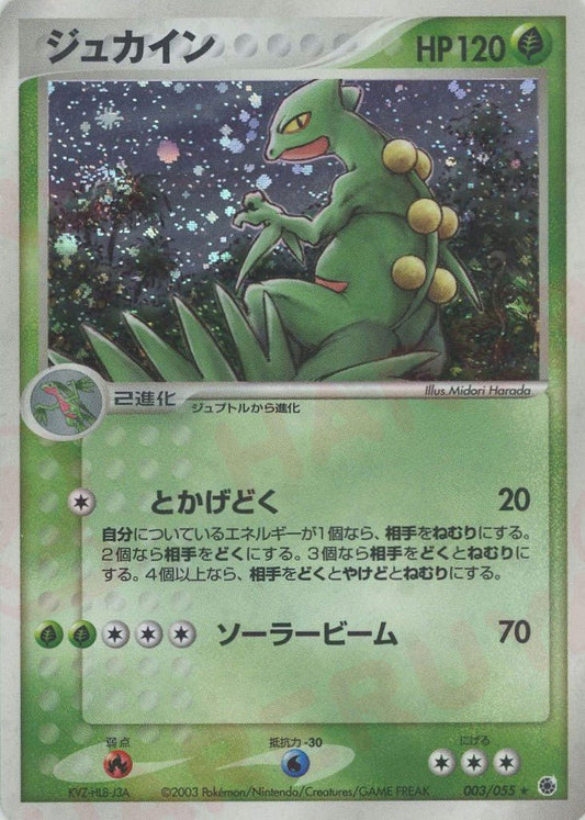 ジュカイン(R){草}〈003/055〉[AD1] ｜ポケカ販売‧買取｜ 晴れる屋2