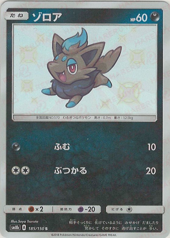 【PSA10】ゾロア 色違い 185/150 ゾロア(S){悪}〈185/150〉[SM8b] ｜販売‧買取｜ 晴れる屋2