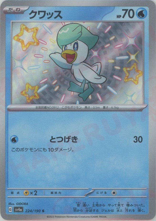 クワッス(S){水}〈224/190〉[SV4a] ｜ポケカ販売‧買取｜ 晴れる屋2