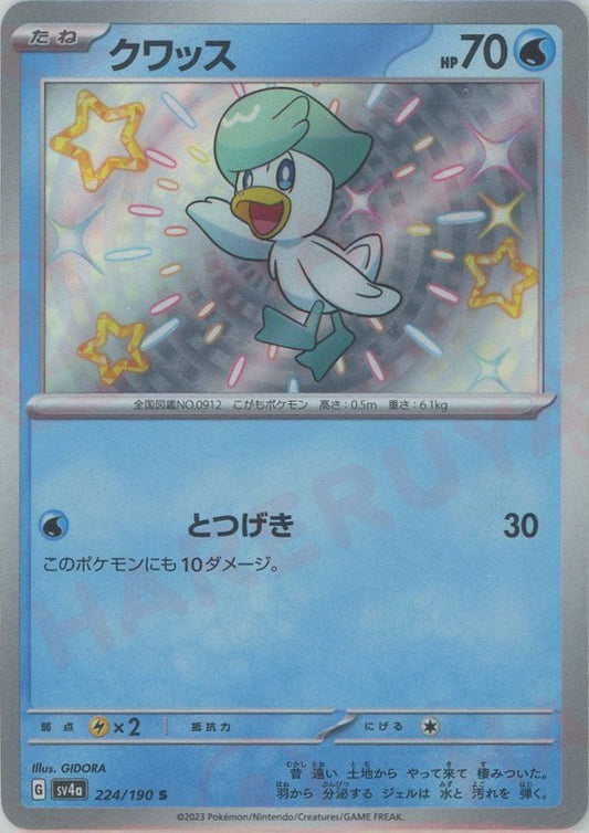 クワッス(S){水}〈224/190〉[SV4a] ｜ポケカ販売‧買取｜ 晴れる屋2