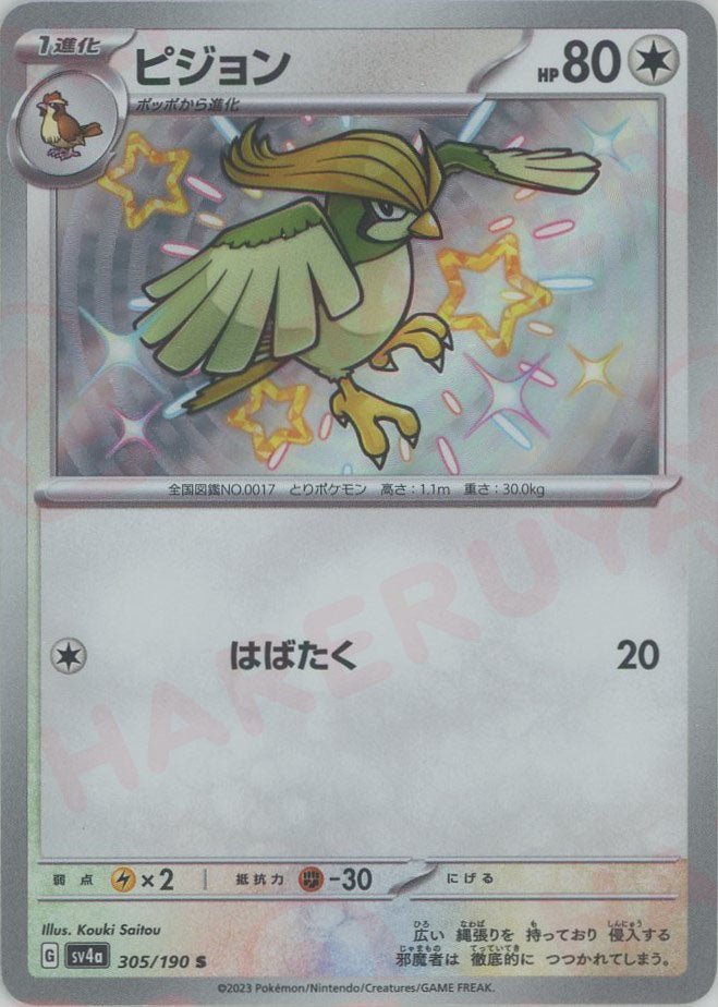 ピジョン(S){無}〈305/190〉[SV4a] ｜ポケカ販売‧買取｜ 晴れる屋2