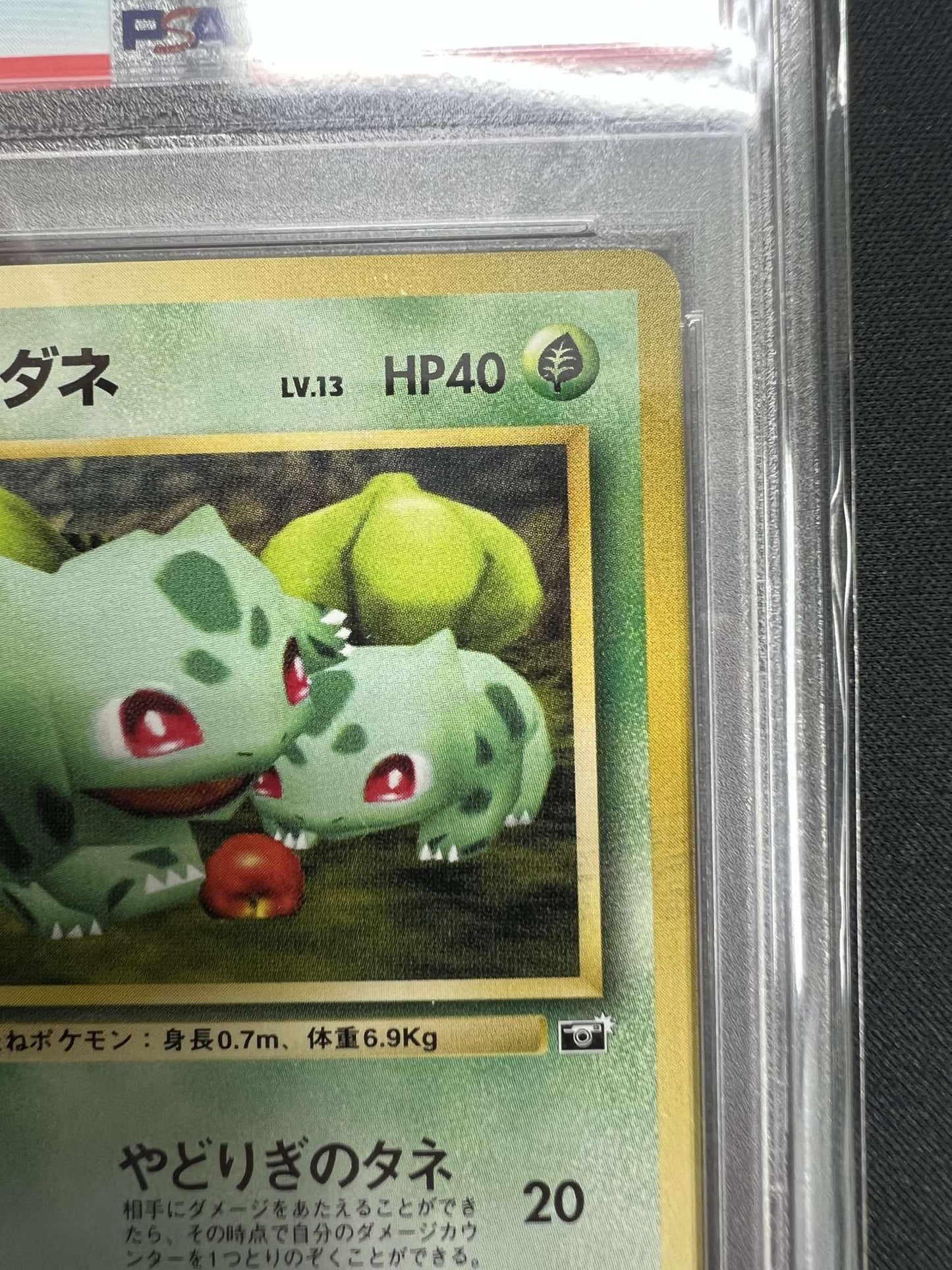 【PSA8.5】フシギダネ:コロコロスナップ(PROMO){草}〈-〉[PMCG-P]#516