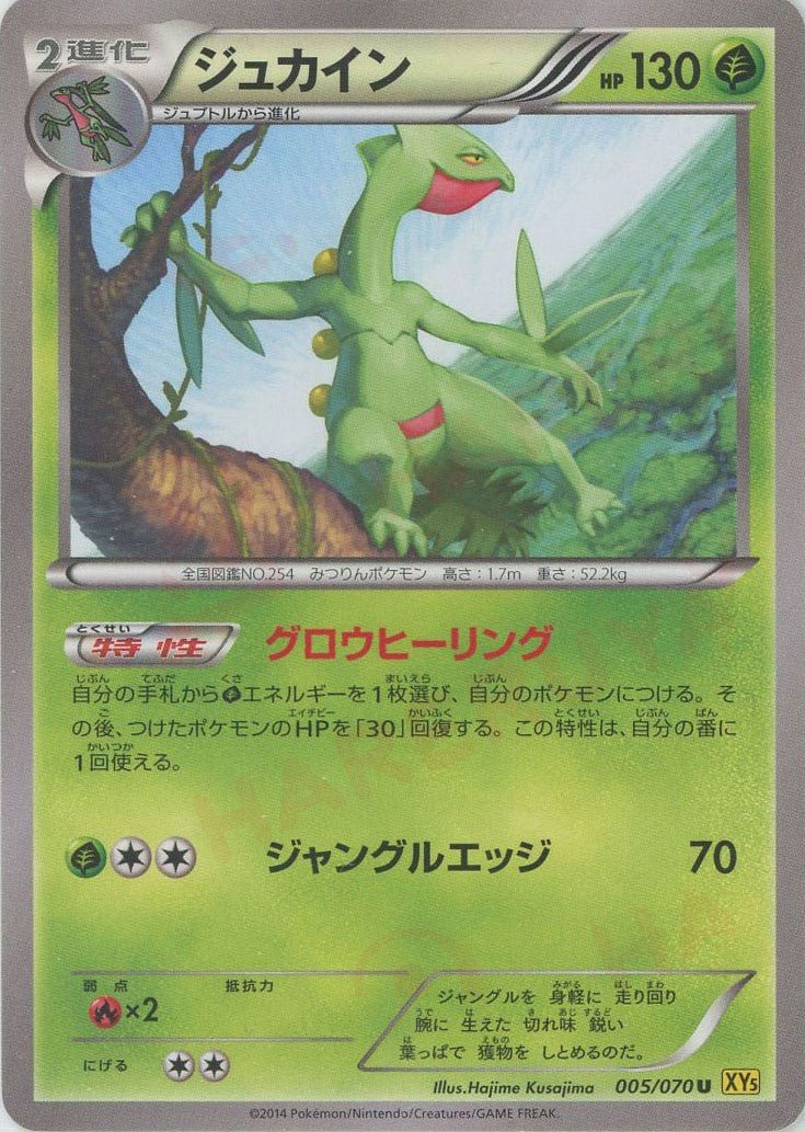 ジュカイン(U){草}〈005/070〉[XY5-y] ｜ポケカ販売‧買取｜ 晴れる屋2