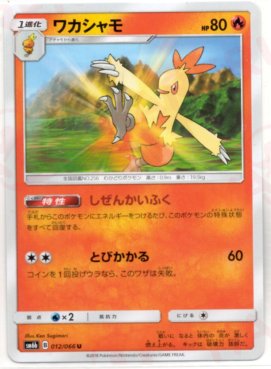 ワカシャモ(U){炎}〈012/066〉[SM6b] ｜ポケカ販売‧買取｜ 晴れる屋2