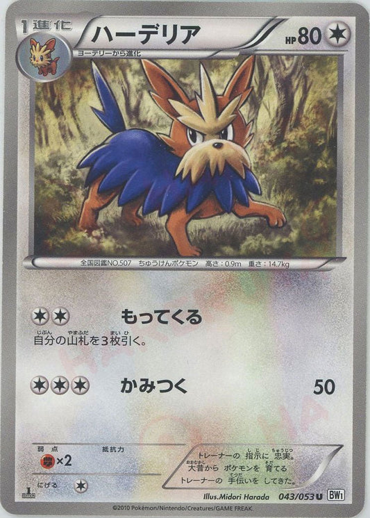 ハーデリア(U){無}〈043/053〉[BW1-w] ｜ポケカ販売‧買取｜ 晴れる屋2