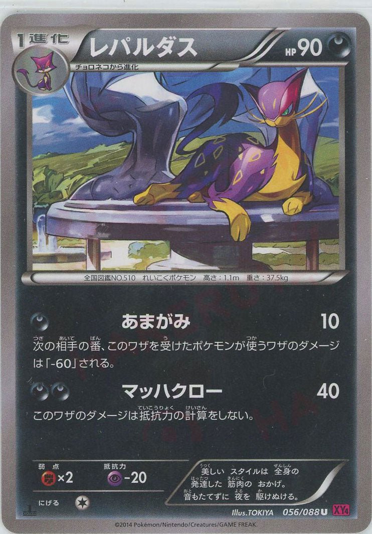 レパルダス(U){悪}〈056/088〉[XY4] ｜販売‧買取｜ 晴れる屋2