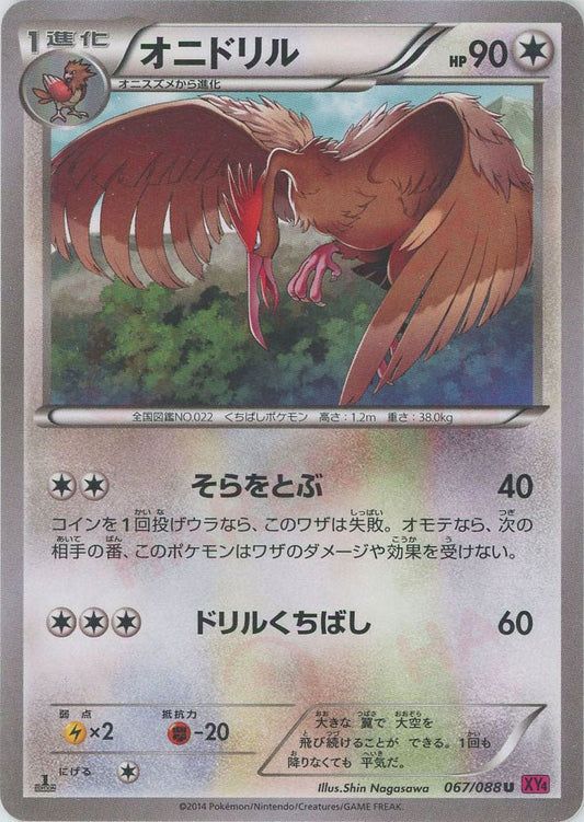 オニドリル(U){無}〈067/088〉[XY4] ｜ポケカ販売‧買取｜ 晴れる屋2