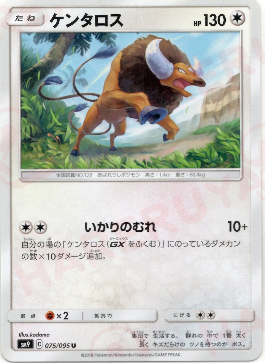 ケンタロス(U){無}〈075/095〉[SM9] ｜ポケカ販売‧買取｜ 晴れる屋2