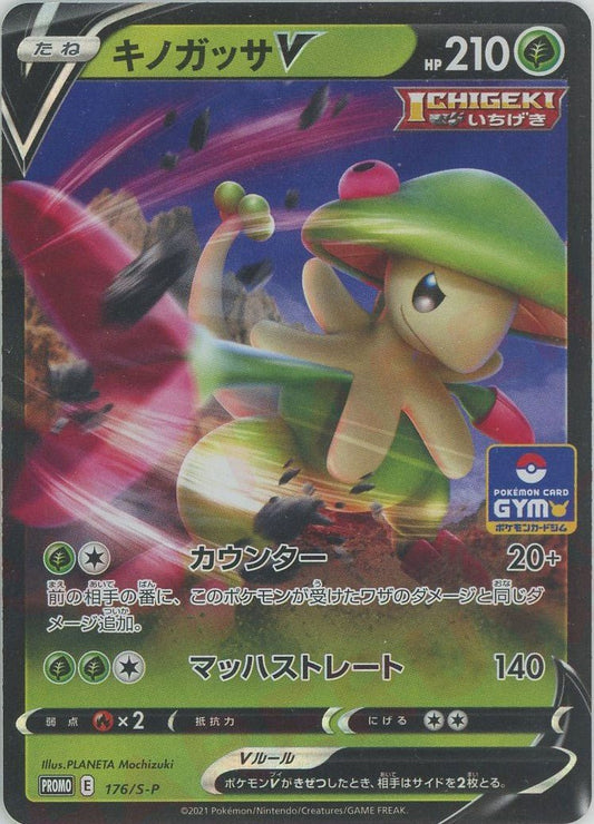 キノガッサV(PROMO){草}〈176/S-P〉[S-P] ｜ポケカ販売‧買取｜ 晴れる屋2